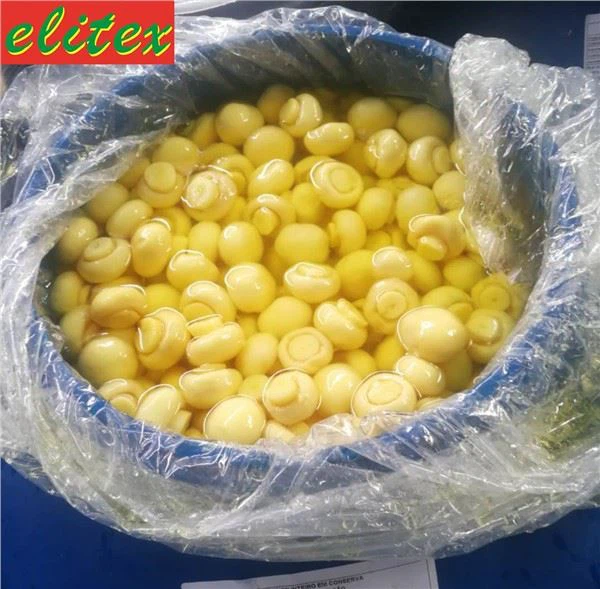 드럼에 보존 된 전체 버섯 조미료