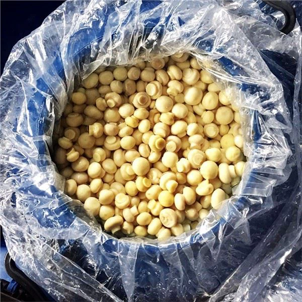 드럼의 식초 버섯