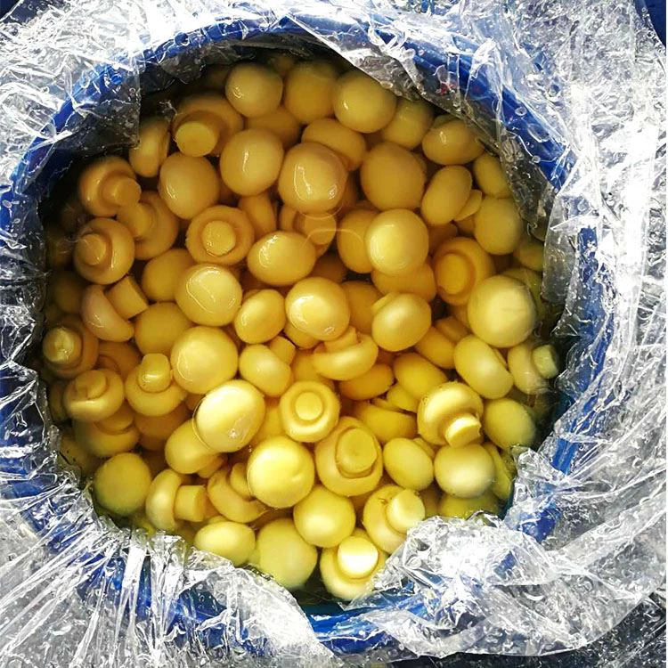 Top Quality Mushroom In Drum