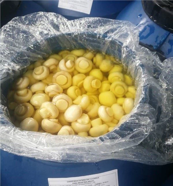 소금물에 절인 버섯은 다른 재료의 맛을 쉽게 흡수하나요?